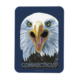 Ímã De ConnecticutEagle fim acima