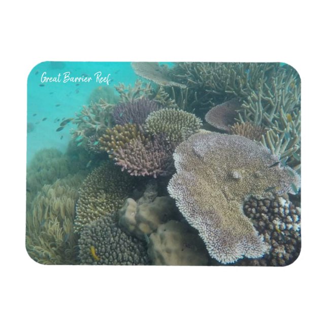 ímã de coral da barreira do excelente (Horizontal)