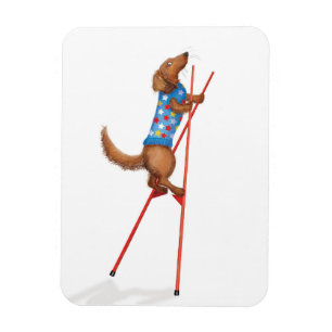Ímã de dachshund fofo andando em pernas de pau