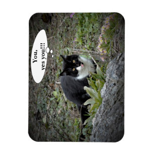 Ímã de Foto com Texto Personalizado de Gato