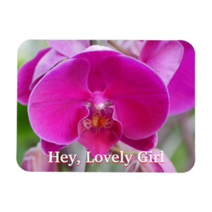 Ímã de Foto Flexível