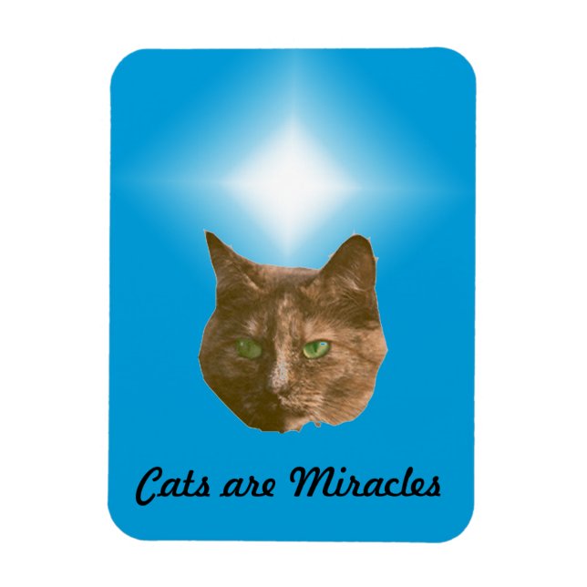 Ímã de Foto - Gatos são Milagres (Vertical)