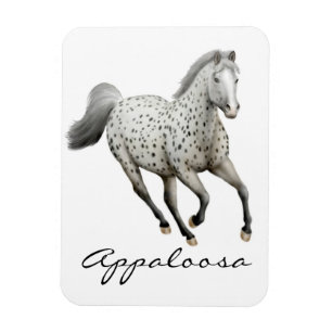 Ímã de galope do prêmio do cavalo do Appaloosa 