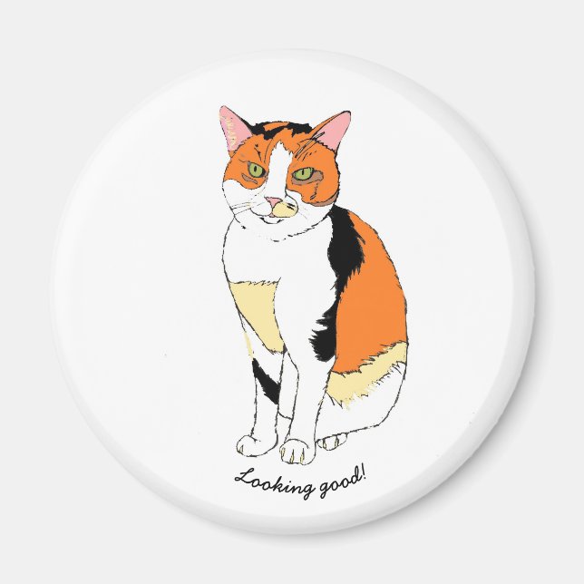 imã de gato rico (Frente)