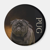 Imã de geladeira Black Pug