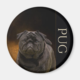 Imã de geladeira Black Pug