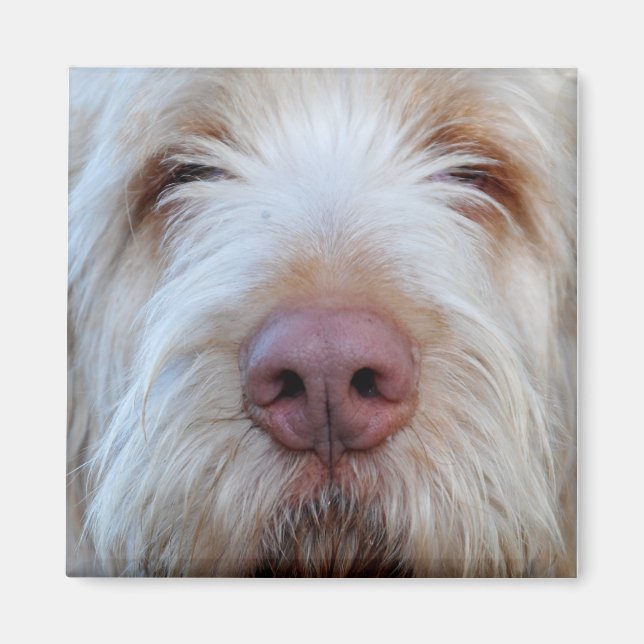 Imã de geladeira Booper de Luigi (Frente)