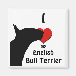 Imã de geladeira Bull Terrier Inglês