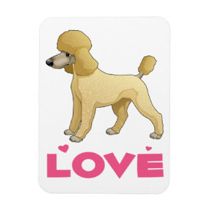 Ímã de Geladeira Cachorrinho Poodle Miniatura Amor
