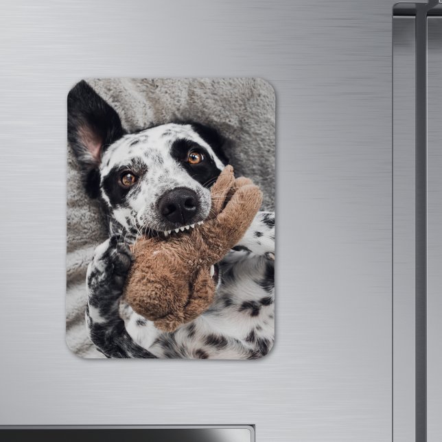 Ímã de Geladeira com Foto Personalizada (Criador carregado)