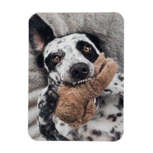 Ímã de Geladeira com Foto Personalizada