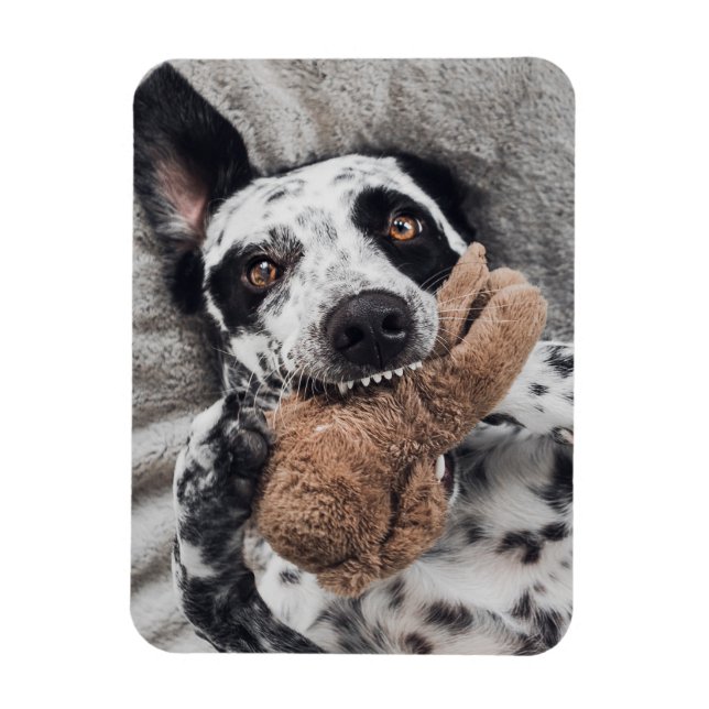 Ímã de Geladeira com Foto Personalizada (Vertical)