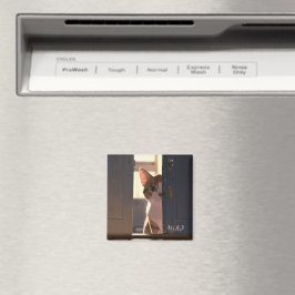 Imã de geladeira de gatos