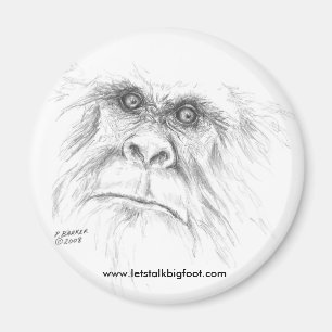 Imã de geladeira de LTB