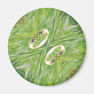 Imã de geladeira de quatro cisnes