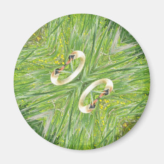 Imã de geladeira de quatro cisnes