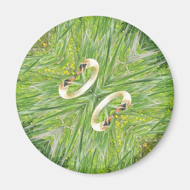 Imã de geladeira de quatro cisnes (Frente)