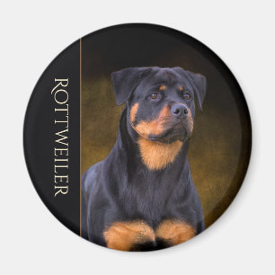 Imã de geladeira de Rottweiler