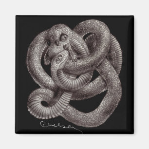 Imã de geladeira de "Snowl" Eco