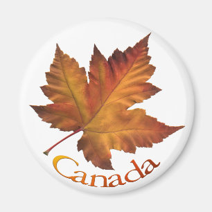 Imã de geladeira de Souvenir Canadá Keepsasasasa