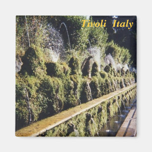 imã de geladeira de tivoli