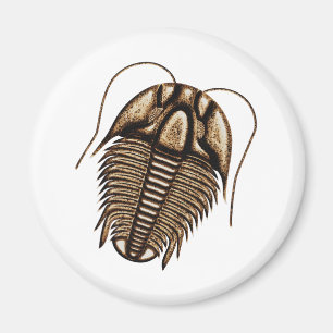 Imã de geladeira de Trilobite
