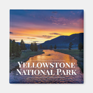 Imã de geladeira do parque nacional de Yellowston