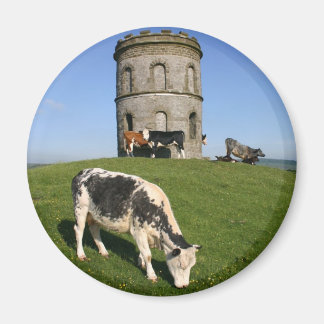 Imã de geladeira do Templo de Salomão