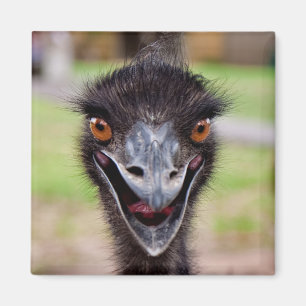 Imã de geladeira insolente do Emu