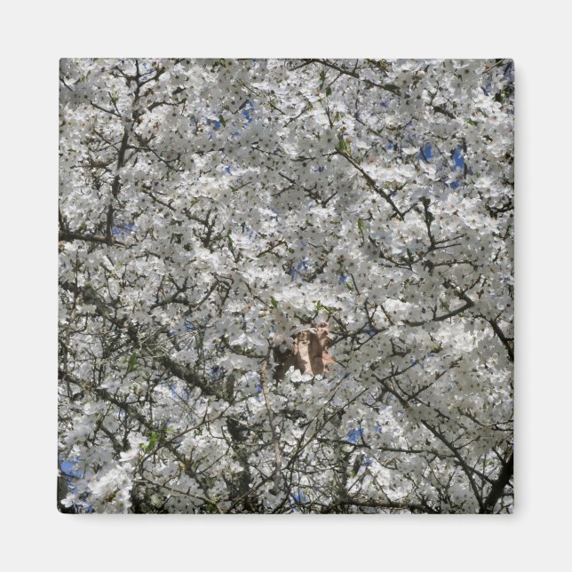 Imã de geladeira Mirabelle Blossom (Frente)