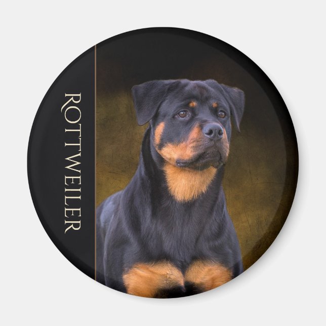 Imã de geladeira Rottweiler (Frente)