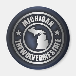Imã De "ímãs de aço Michigan" (azuis)