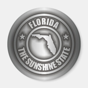 Imã De "ímãs do aço Florida"