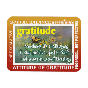 ímã de inspiração de gratidão