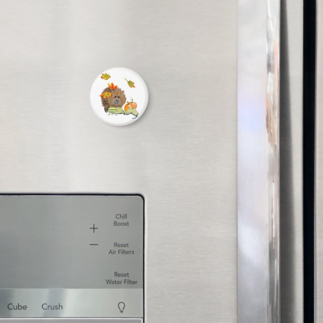 Imã DE Magnet Herbst Igel mit Kürbis (In Situ (Fridge))