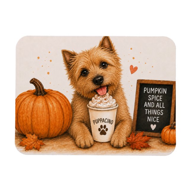 Ímã de Norwich Terrier Pumpkin Spice (Horizontal)