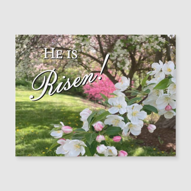 Ímã de Páscoa Flores Cor-de-Rosa (Frente)