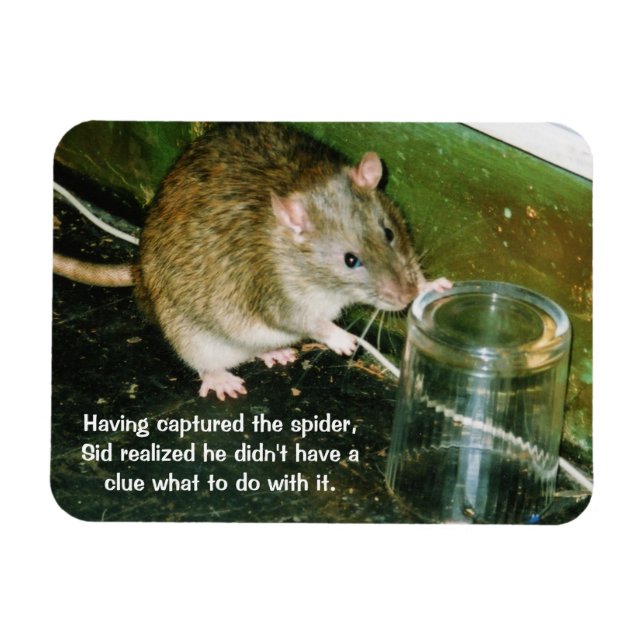 ímã de rato engraçado (Horizontal)