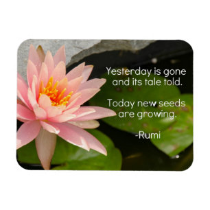 Ímã de Rumi com a flor de Lotus cor-de-rosa