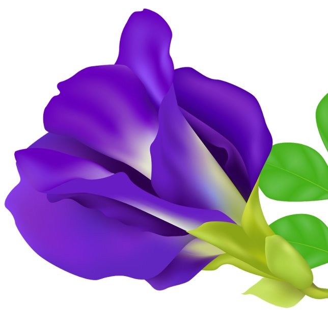 Ímã de 'Save the Date' com Flor Roxa Romântica (Flower)