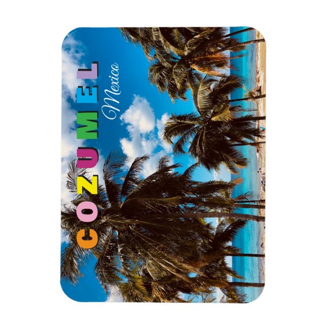 Ímã de Souvenir de Viagem Cozumel México (Vertical)