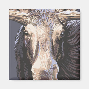 Imã De VermontMoose fim acima