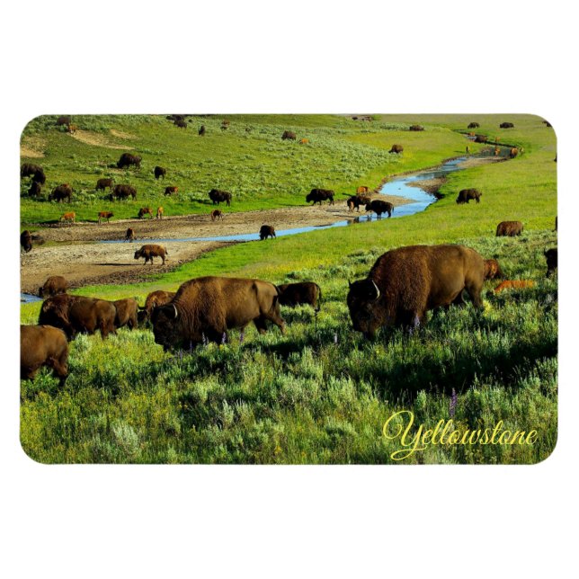 Ímã de Yellowstone (Horizontal)