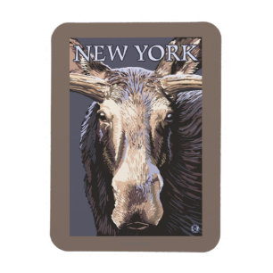 Ímã De YorkMoose fim novo acima