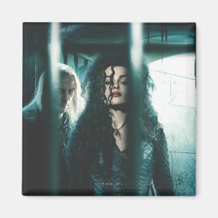 Imã Deathly Hallowly - Bellatrix e Lucius
