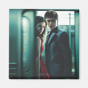 Imã Deathly Hallows - Harry e Hermione