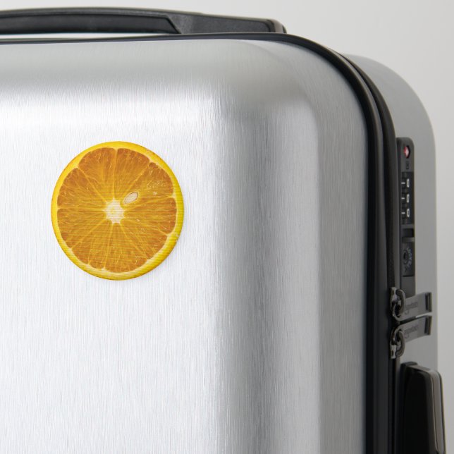 IMÃ DÉBITO DE LARANJA DELICIOSO (In Situ (Luggage))