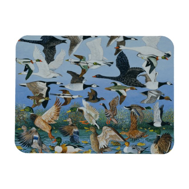 Ímã Decolagem 1996 (Horizontal)