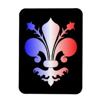 Ímã Decoração bonito Fleur De Lis design