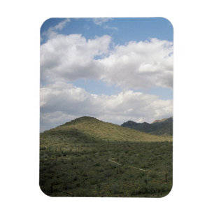 Ímã Decoração do Deserto Ocidental do Cowboy Skyline